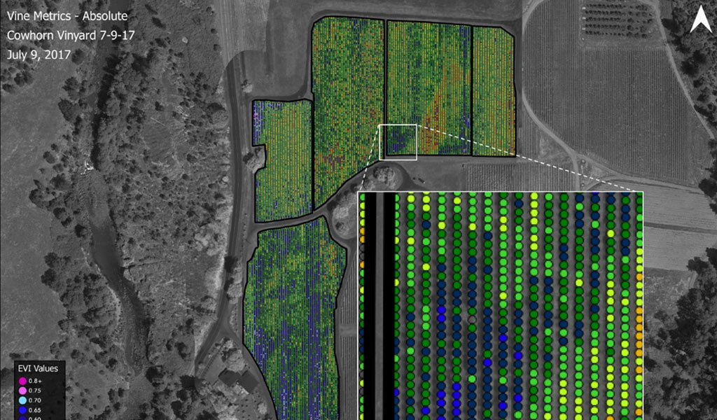 Commercial drones scan vineyards to provide EVI values